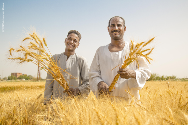 صغار المزارعين وتربية الحيوانات